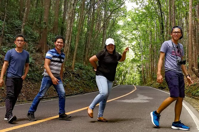 2025 Affordable Bohol (Tarsier & Chocolate Hills Tour) - Bilar Man-Made Forest: five minutes beneath the mahogany trees