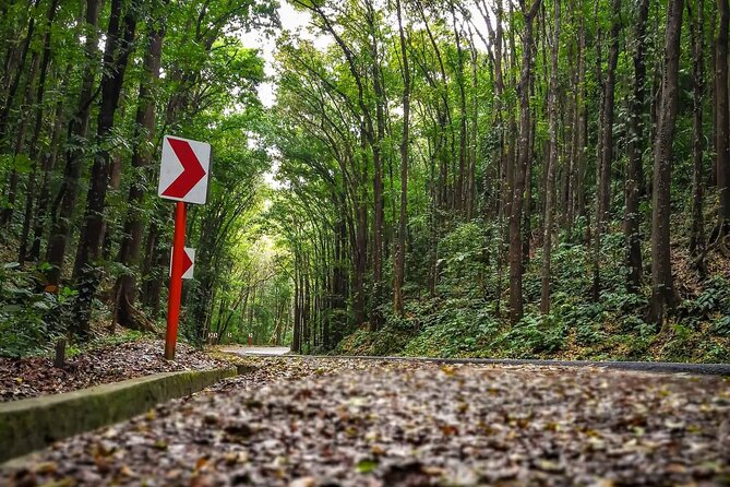 2025 Affordable Bohol (Tarsier & Chocolate Hills Tour) - Ferry timing, pickup, and drop-off