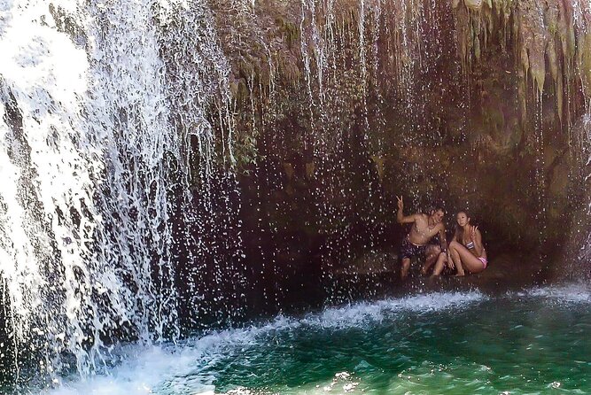 2025 Tarsier, Waterfalls & Chocolate Hills Tour - Why the private vehicle matters