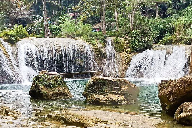 2025 Tarsier, Waterfalls & Chocolate Hills Tour - Is $65 a fair price?