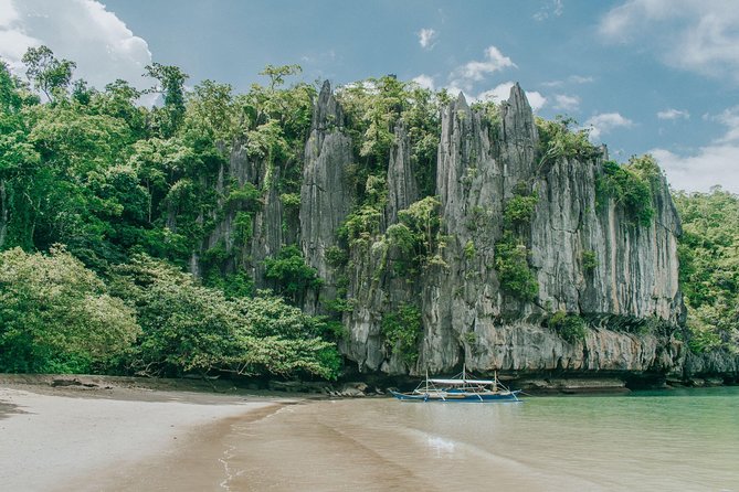 3-in-1 Adventure: Underground River, Zipline ride, and Mangrove Forest Tour - What this Palawan day actually feels like