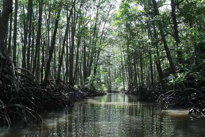 4in1 Underground River + ugong cave +zipline+mangroove paddleboat - The Puerto Princesa Underground River takes center stage
