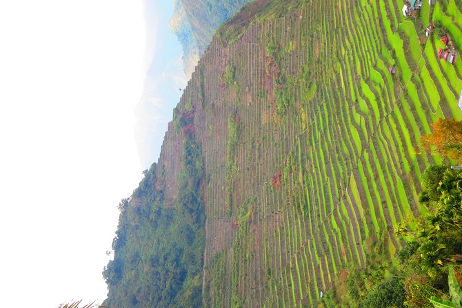 7 days Banaue-Sagada Adventure from Manila*** - Day 4: A 4 a.m. Return to Manila