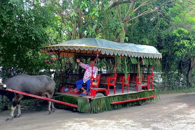A Day in Paradise at Villa Escudero Coconut Plantation Adventure - Key Things to Know Before You Go