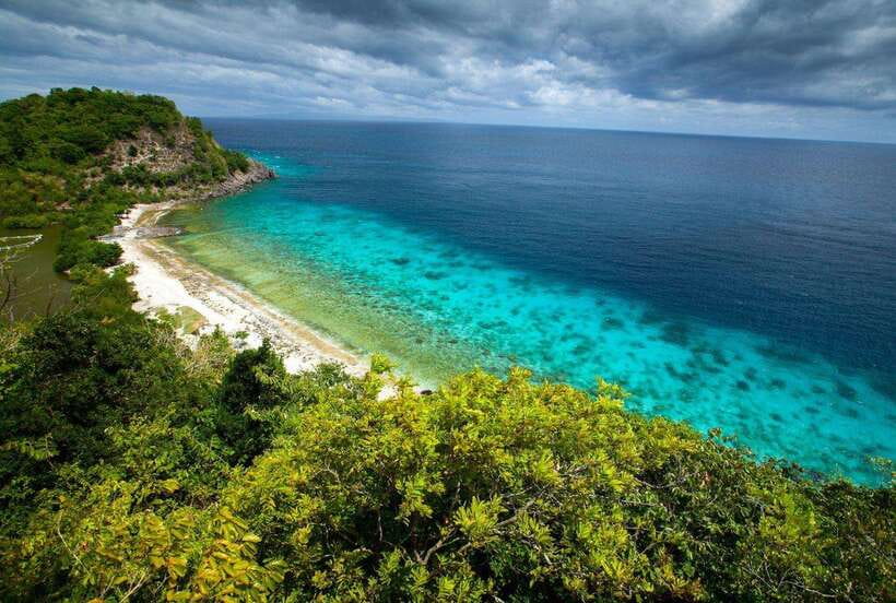 Apo Island Wonders: Snorkel with Sea Turtles in Dumaguete - Key points to know before you book