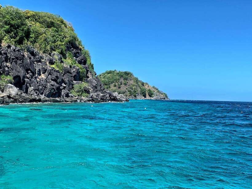 Apo Island Wonders: Snorkel with Sea Turtles in Dumaguete - Three hours of snorkeling with turtles