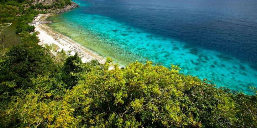 Apo Island Wonders: Snorkel with Sea Turtles in Dumaguete - Who will enjoy this day most?