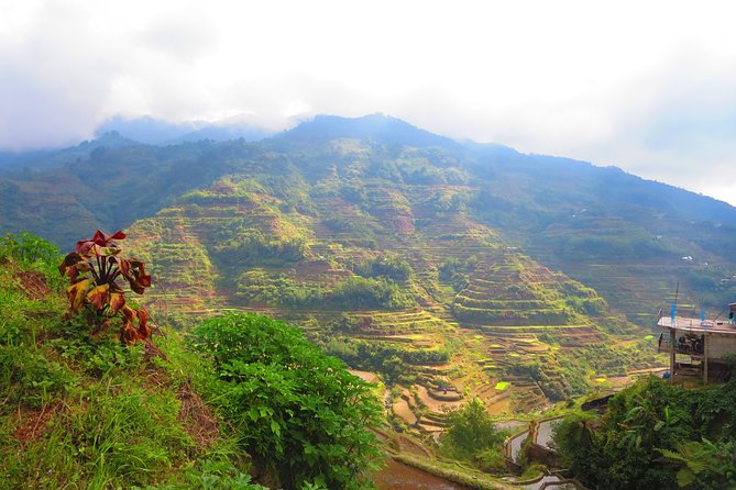 Banaue Rice terraces adventure (3 days 2 nights) from Manila*** - Day 4: Batad terraces and Tappiyah Waterfalls