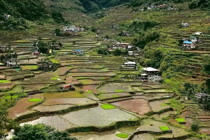Banaue-Sagada A 7 days Northern Adventure Trip - Key things to know before booking