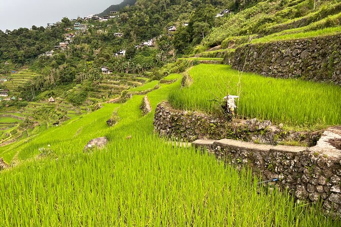 Batad Guided Tour - What the six-hour Batad tour includes