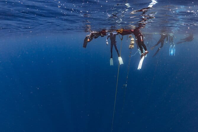 Beginner Freediving Course (with Bonus Session) - What the $416.70 price includes