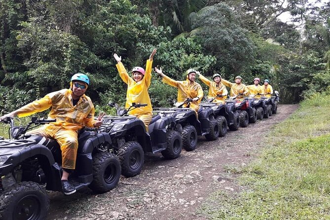 BOHOL ATV Tour - Seeing the Chocolate Hills From Ground Level