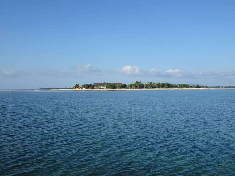 Bohol Balicasag Is Private Tour and Dolphin Watching - Who should book this Bohol day trip?