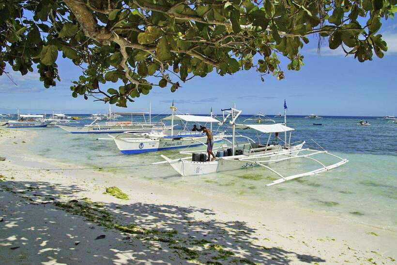 Bohol Balicasag Is Private Tour and Dolphin Watching - An early start from Panglao
