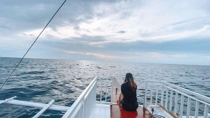 Bohol Balicasag Is Private Tour and Dolphin Watching - Balicasag Island’s fish and turtles