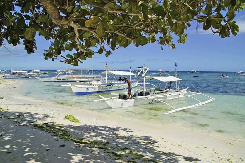 Bohol Balicasag Is Private Tour and Dolphin Watching - Lunch with fish, prawns, chicken, and fruit