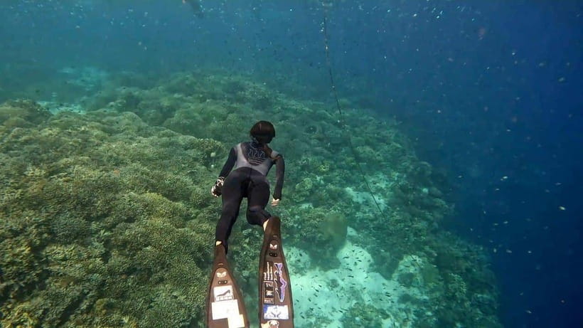 Bohol: Boat Tour to Sandbar and Snorkeling with Turtles - Dolphin watching near Balicasag