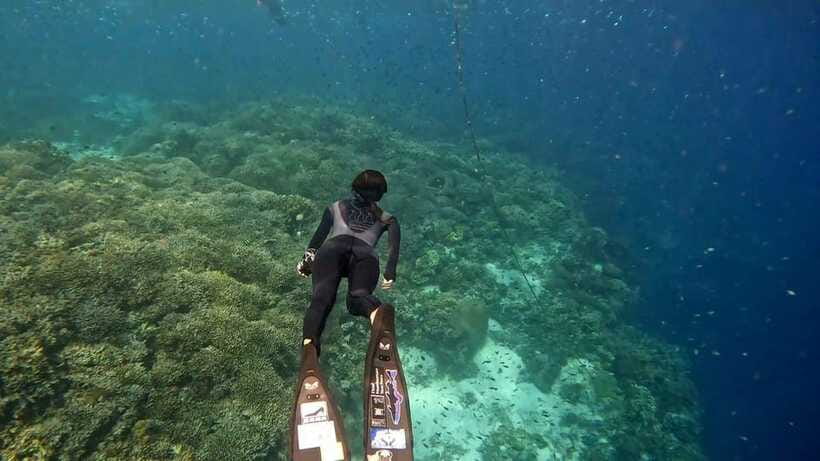 Bohol: Boat Tour to Sandbar and Snorkeling with Turtles - Who will enjoy this Panglao boat trip?