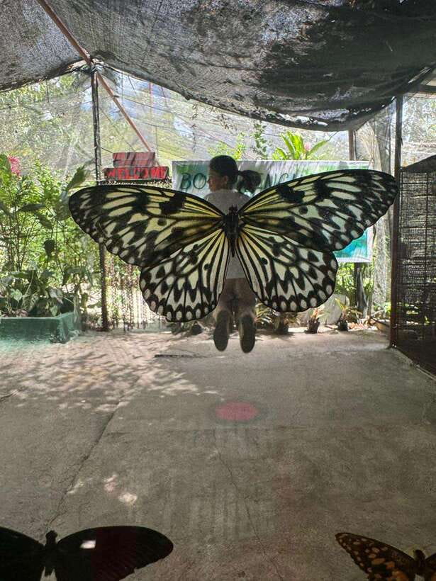 Bohol: Budgeted Countryside with Buffet Lunch Private Tour - Python Sanctuary: a different kind of wildlife stop