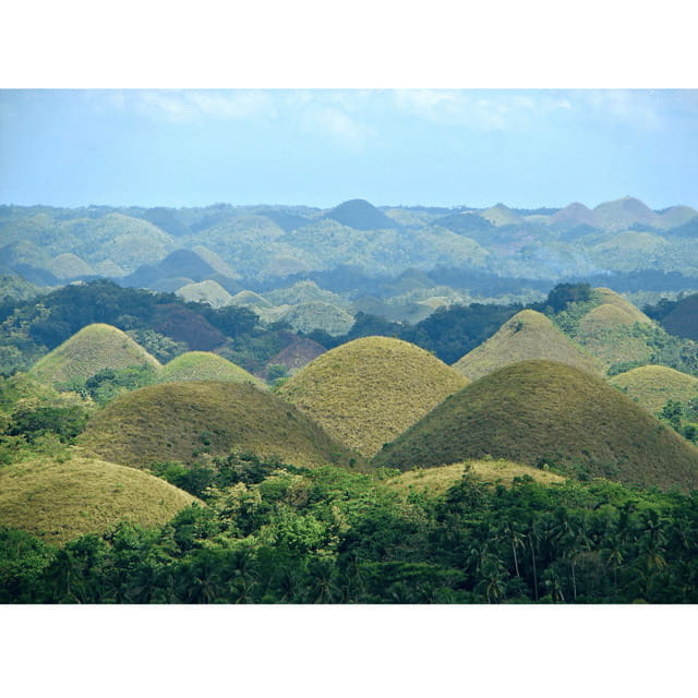 Bohol: Choco Tour + Rio Verde Lunch Buffet - Who should book this Bohol experience?