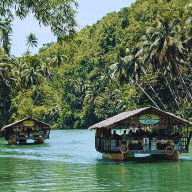 Bohol: Choco Tour + Rio Verde Lunch Buffet - Tarsiers and the wildlife viewing stop
