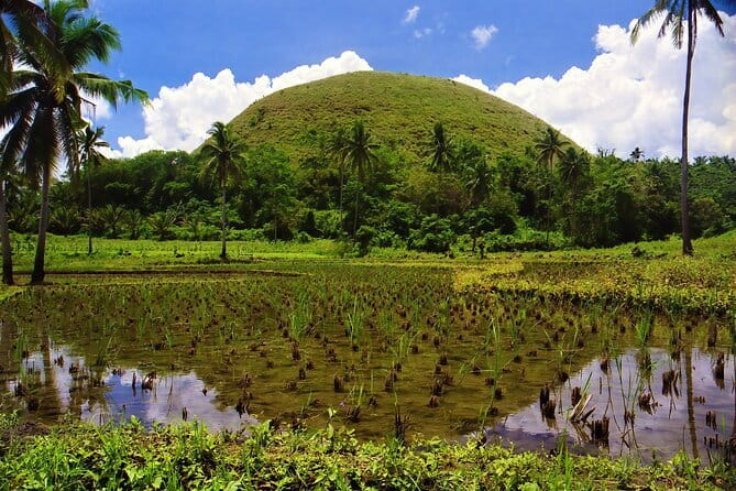 Bohol Choco Tour with Loboc River Lunch Buffet - The Man-made Mahogany Forest near Bilar