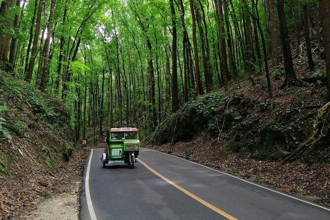 Bohol Choco Tour with Loboc River Lunch Buffet - Chocolate Hills: the grand finish