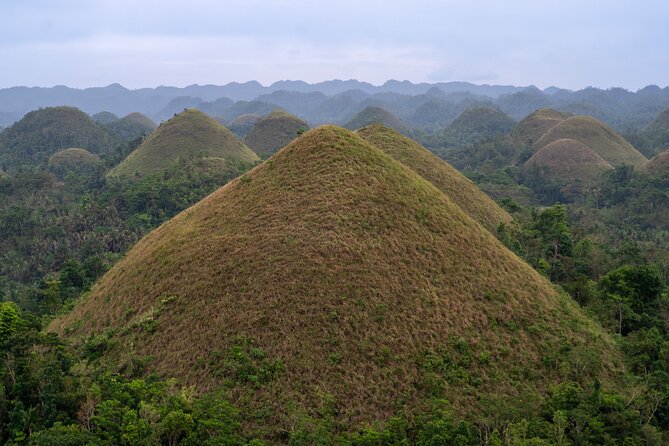 Bohol Chocolate Farm and Chocolate Hills Private Tour - Timing, transport, and physical effort