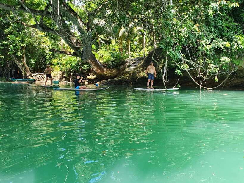 Bohol: Chocolate Hills and Countryside Tour - Bilar Man-Made Forest, a brief green tunnel