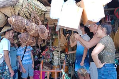 Bohol Chocolate hills and Waterfalls Ecotour