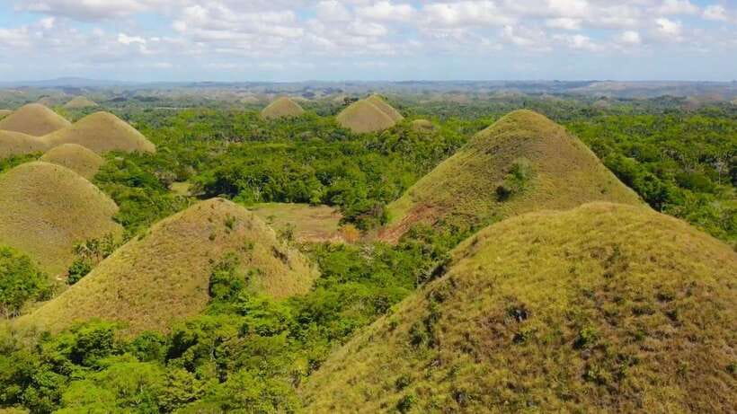 Bohol: Chocolate Hills, Loboc River Cruise, and Buffet Lunch - Key things to know before booking