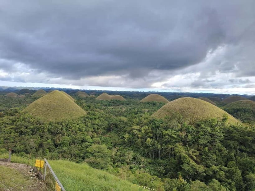 BOHOL: Chocolate Hills, Tarsiers and Loboc River Day Tour - Why this day tour works for first-time Bohol visitors