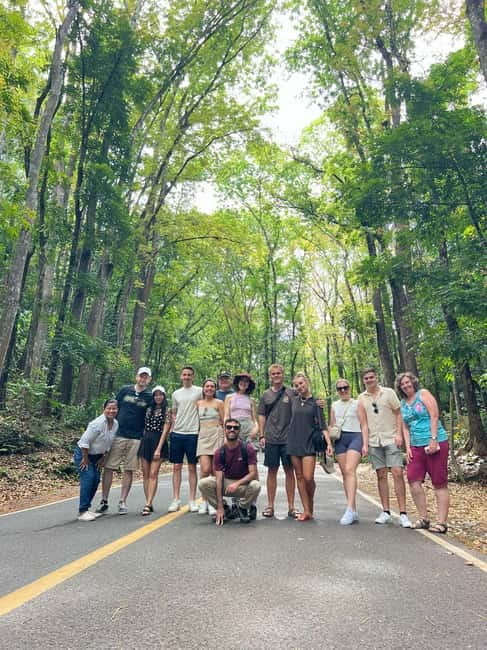 BOHOL: Chocolate Hills, Tarsiers and Loboc River Day Tour - Tarsier Sanctuary: the quiet star of the route