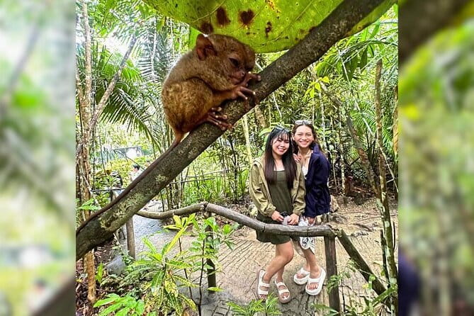 Bohol Chocolate Hills, Tarsiers & Loboc River Private Tour - Bohol National Museum sets the tone