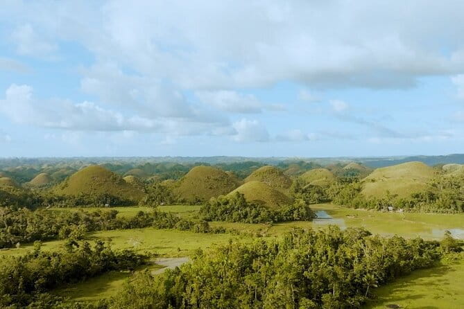 Bohol Chocolate Hills, Tarsiers & Loboc River Shared Tour - Bilar’s Man-Made Mahogany Forest