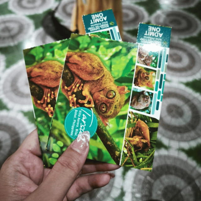Bohol Chocolate Hills Tour with Loboc River Lunch Buffet - What the $58 price really buys you