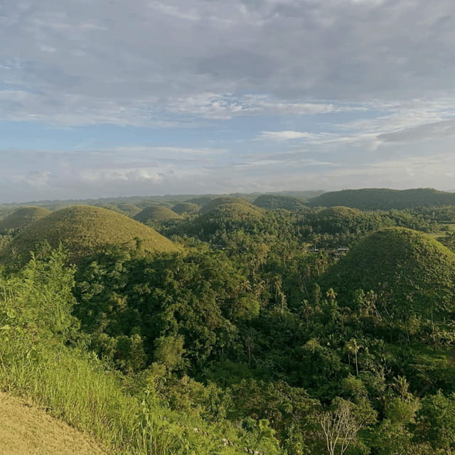 Bohol Chocolate Hills Tour with Loboc River Lunch Buffet - Chocolate Hills: iconic, but the timing matters