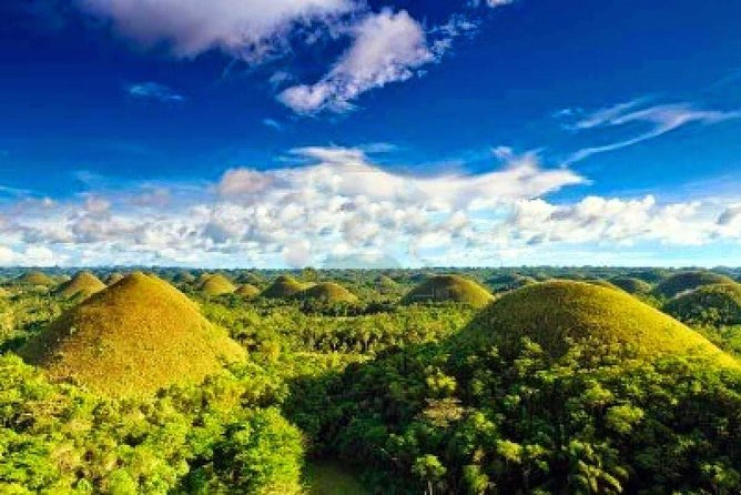 Bohol Countryside Day Tour From Cebu City | Lunch at Loboc River Cruise - Baclayon Church and the Blood Compact Monument