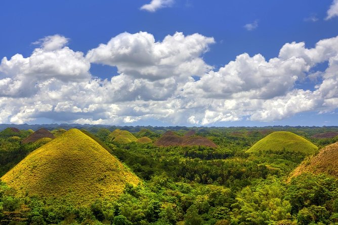 Bohol Countryside Day Tour From Cebu City | Lunch at Loboc River Cruise - Guides Can Make or Break This Schedule