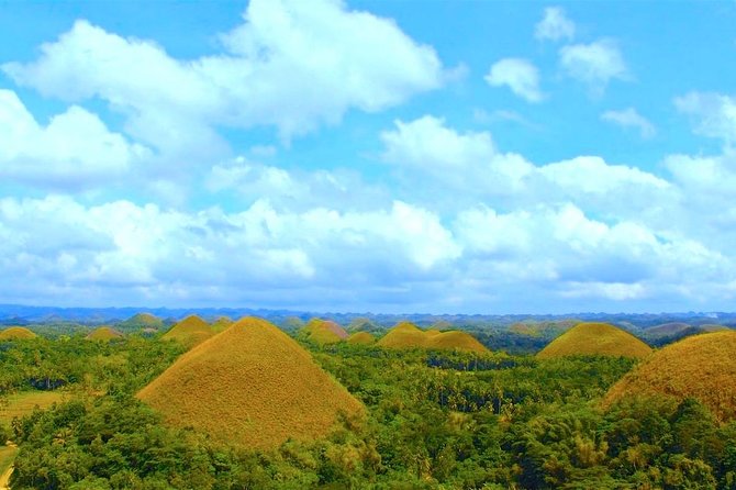 Bohol Countryside Day Tour from Cebu City or Mactan - Best Seller - Blood Compact Monument and the Spanish-era churches