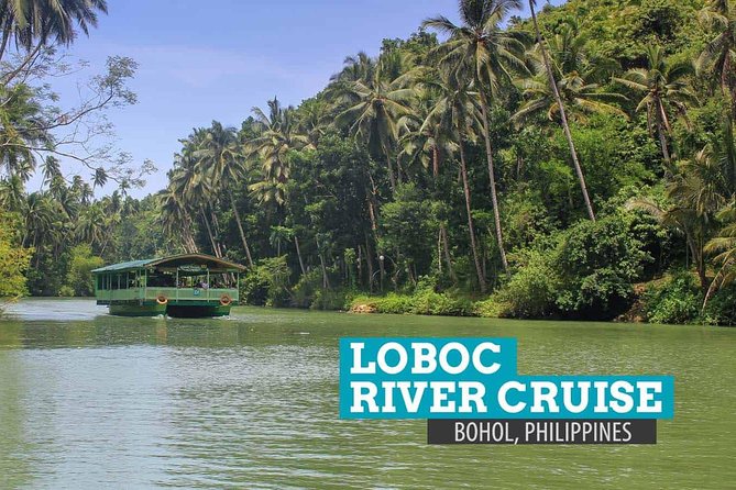 Bohol Countryside Day Tour from Cebu City or Mactan - Best Seller - The Chocolate Hills finale