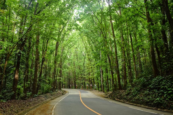 Bohol Countryside Day Tour from Cebu City or Mactan - Best Seller - The 4:30 am start and ferry to Bohol