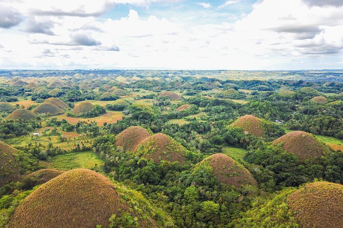 Bohol Countryside Tour: Chocolate Hills, Tarsier and Loboc River - Loboc River by Paddleboard, Not Floating Restaurant