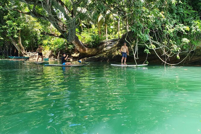Bohol Countryside Tour: Chocolate Hills, Tarsier and Loboc River - Is $53 Good Value for a Full Day?