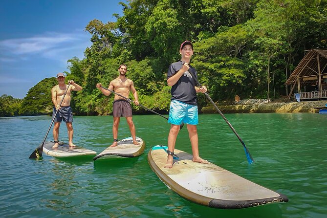 Bohol Countryside Tour: Chocolate Hills, Tarsier and Loboc River - Chocolate Hills and the One-Hour View