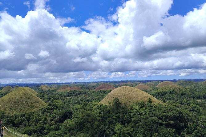 Bohol Countryside Tour to Chocolate Hills and Loboc River - Five things to know before booking