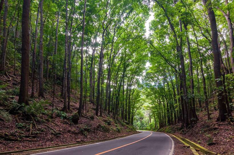 Bohol: Countryside Tour with Loboc (Buffet Lunch) - Baclayon Church and Spanish-era Bohol