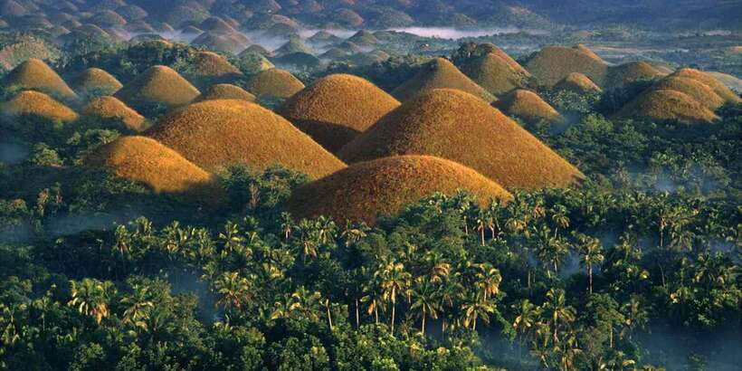 Bohol: Countryside Tour with Loboc (Buffet Lunch) - Tarsiers, with an important name check