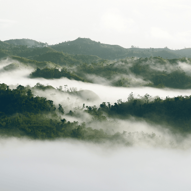 Bohol: Danao Adventure with The Plunge - Zip lines, the Sky Ride, and the Suislide