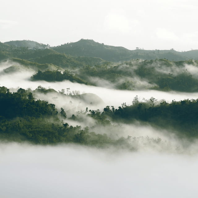 Bohol: Danao Adventure with The Plunge - The four-hour road journey from Bohol’s coast